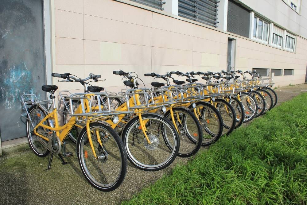 Flotte de vélos musculaires jaunes pour une entreprise devant leurs locaux.